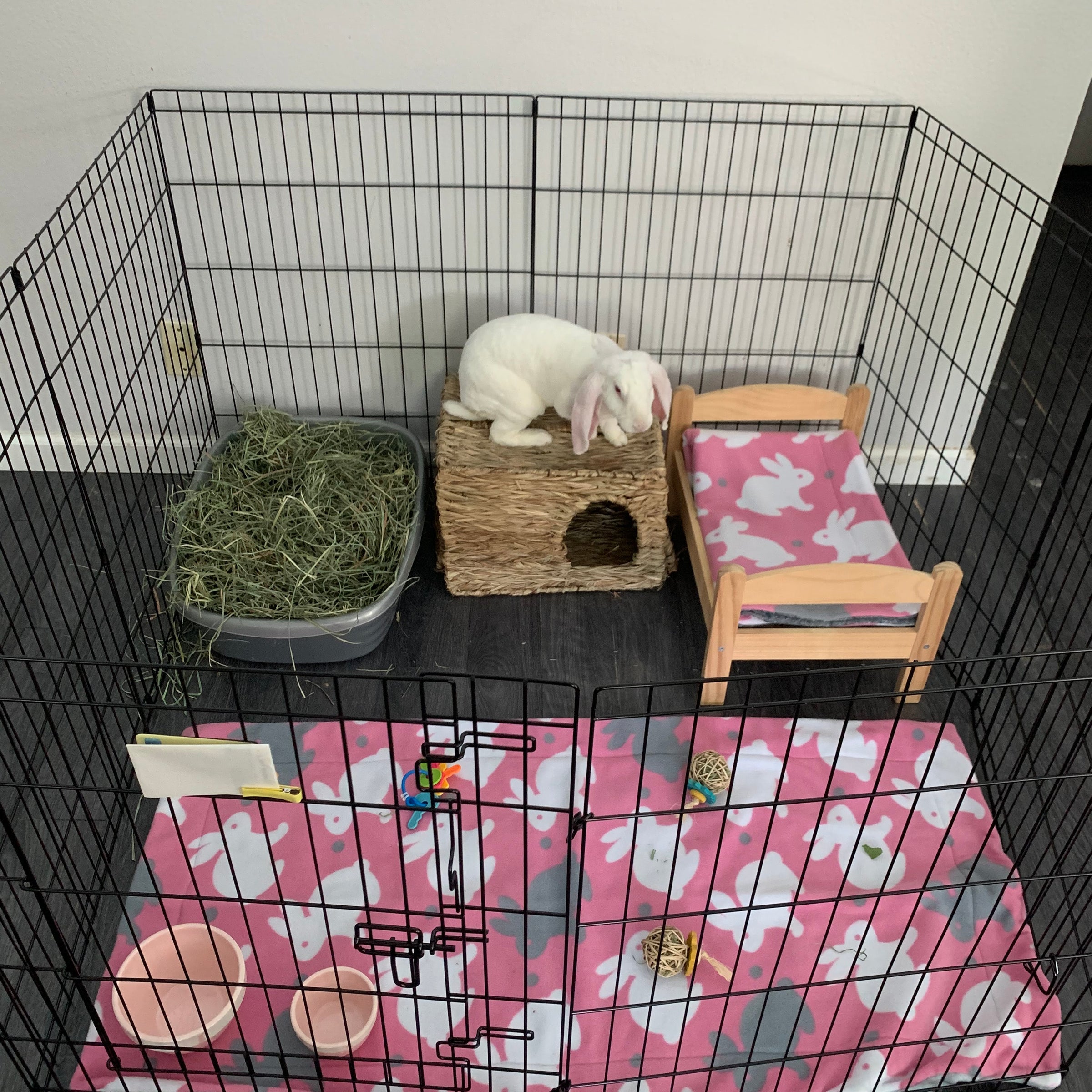 Rabbit Exercise Pen Bunny Bunch Boutique