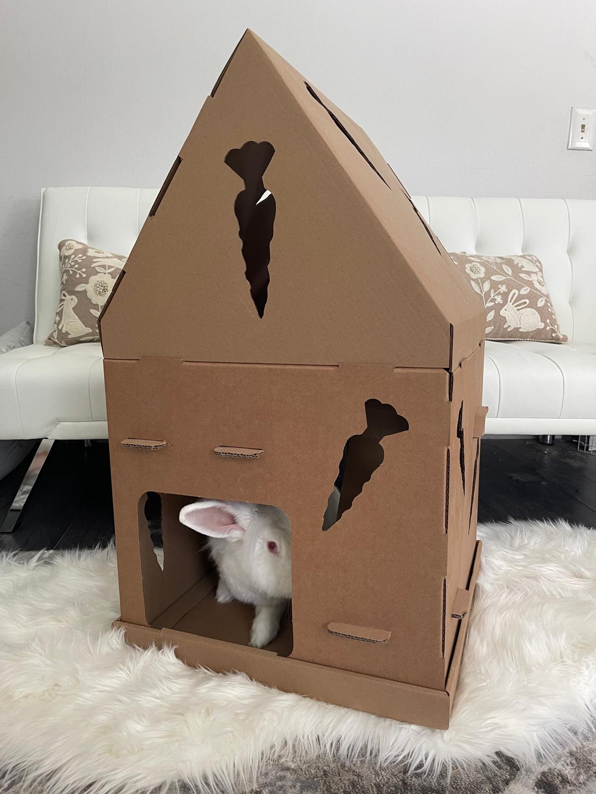 Carrot House for Rabbits Bunny Bunch Boutique