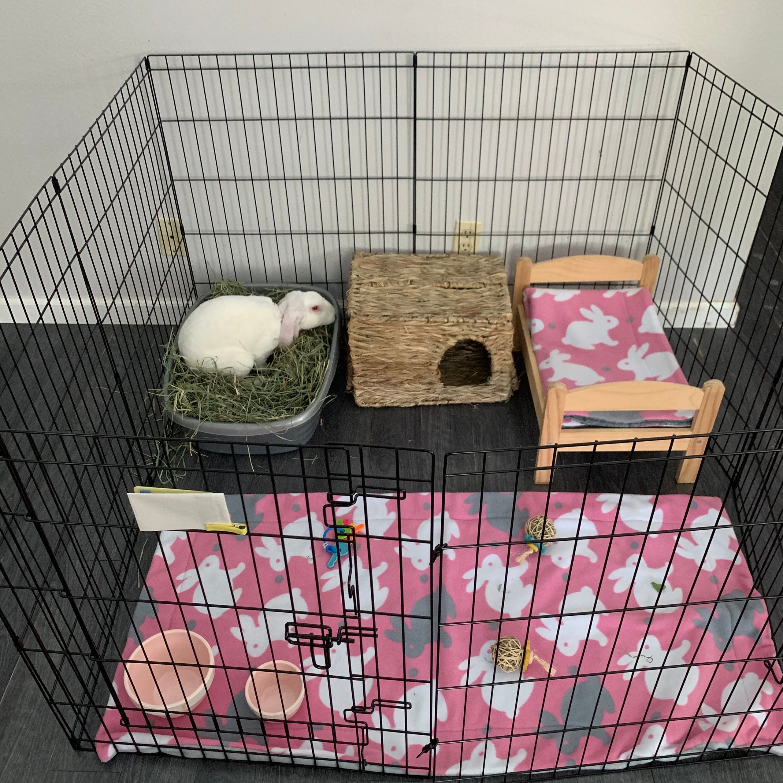 Rabbit shops exercise pen outdoor